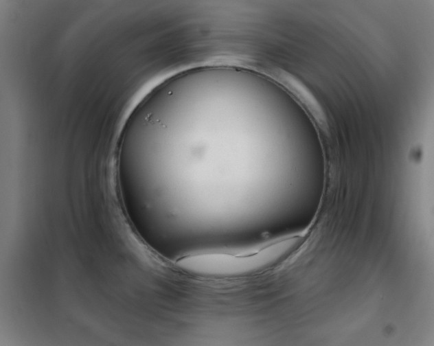 X0000102281340200807251350