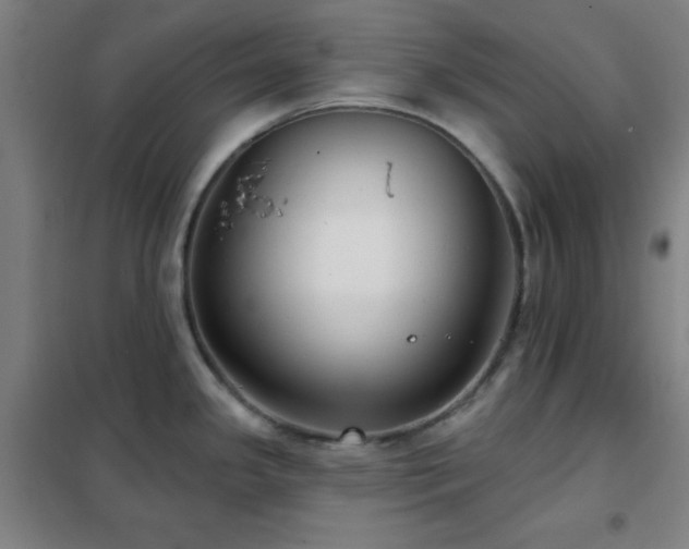 X0000102281341200807251350