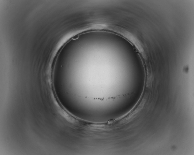 X0000102281342200807251350