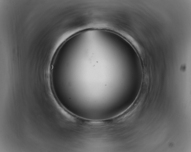 X0000102281343200807251350