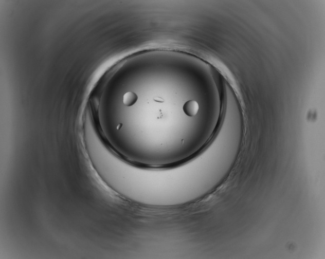 X0000102281344200807251350