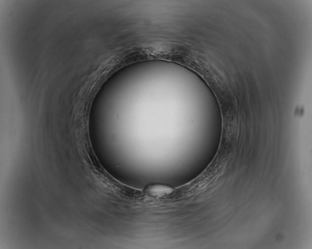 X0000102281345200807251349