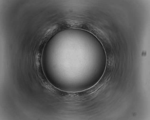 X0000102281346200807251349
