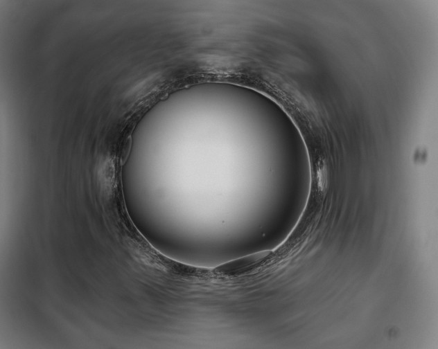 X0000102281347200807251349