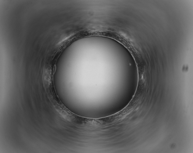 X0000102281348200807251349