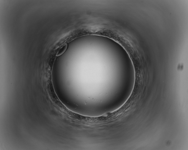 X0000102281349200807251349