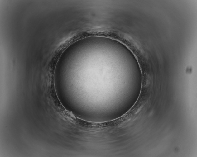 X0000102281350200807251349