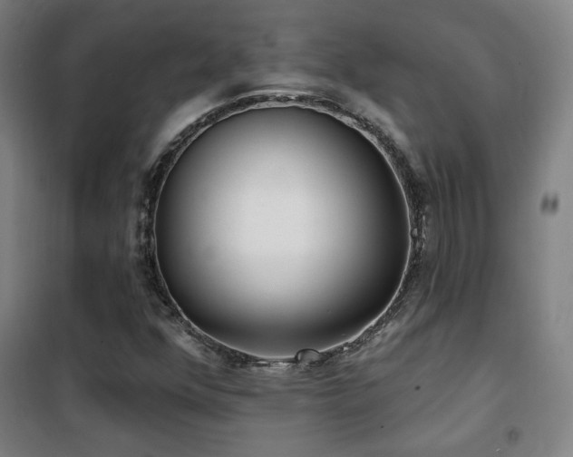 X0000102281352200807251349