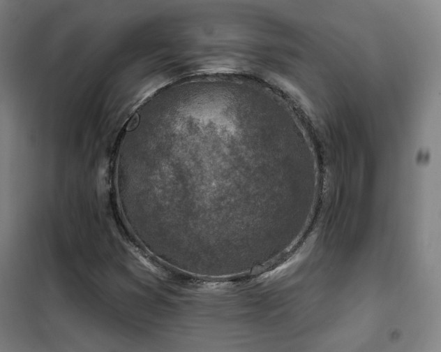 X0000102281353200807251349