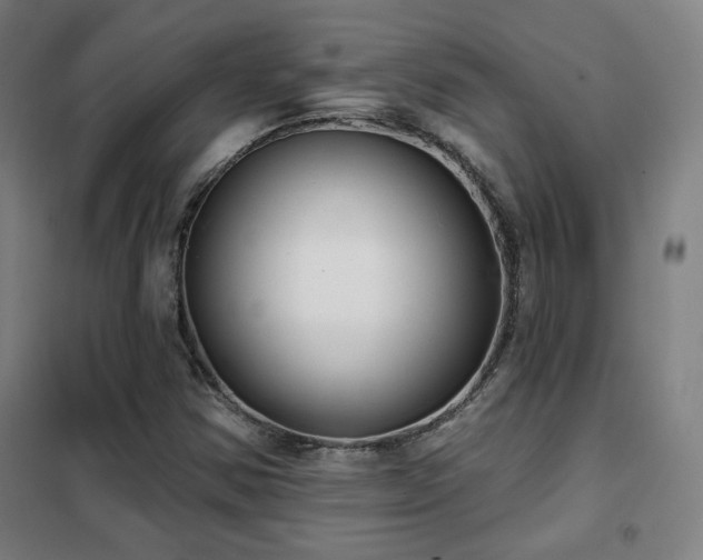 X0000102281354200807251349