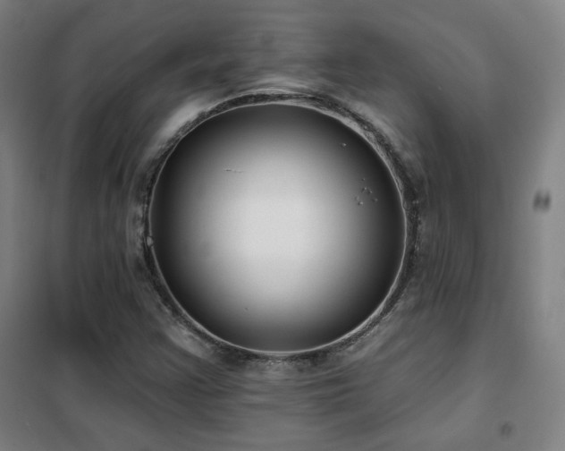 X0000102281355200807251349