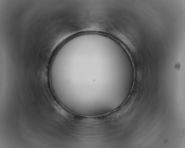 X0000102281356200807251349