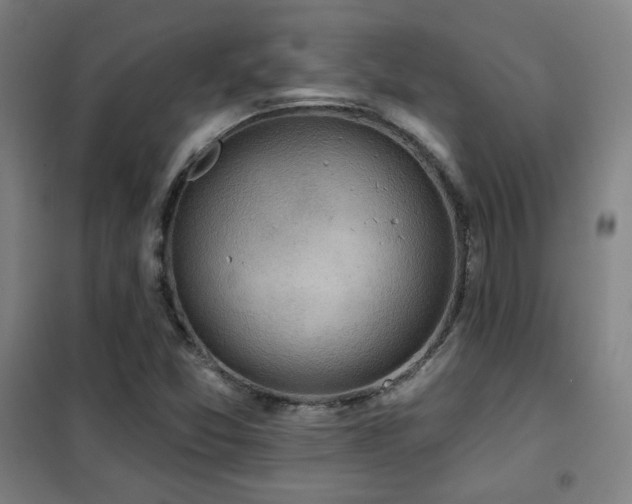 X0000102281357200807251349