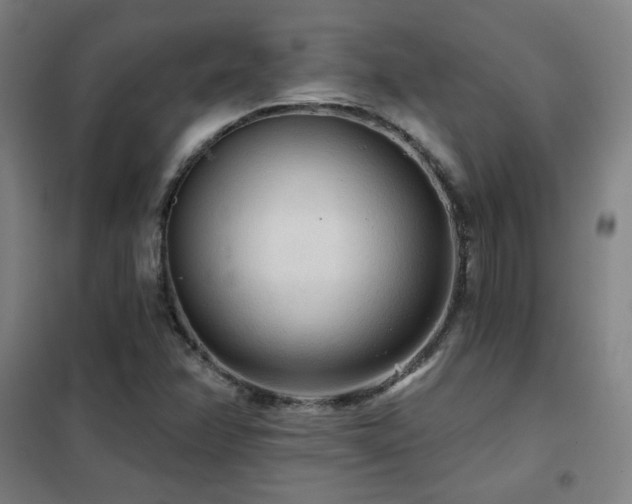 X0000102281358200807251349