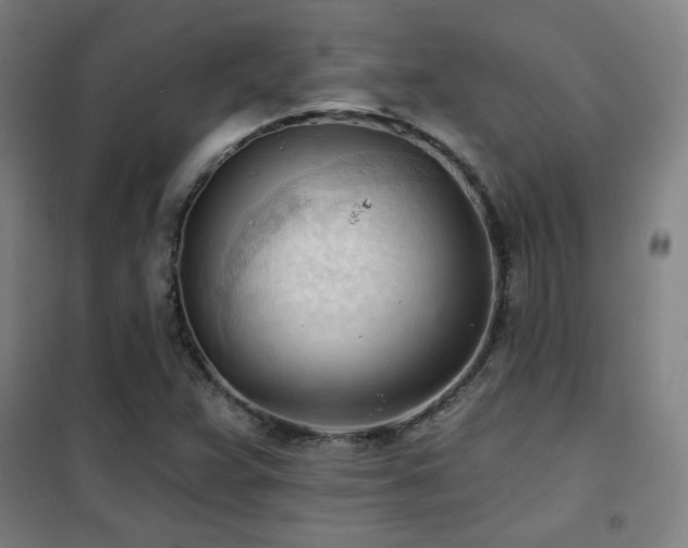 X0000102281359200807251349
