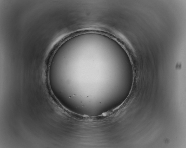 X0000102281360200807251349