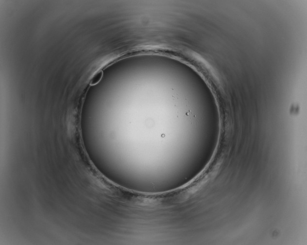 X0000102281361200807251349