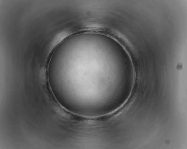 X0000102281362200807251349