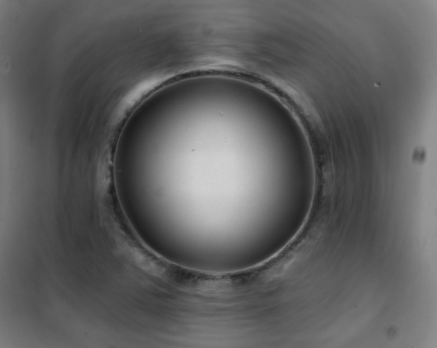 X0000102281363200807251349