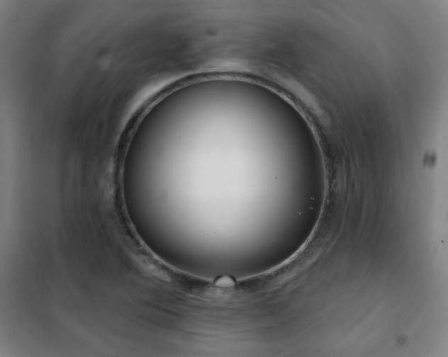 X0000102281364200807251349