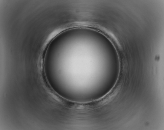 X0000102281365200807251349