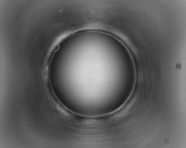 X0000102281366200807251349