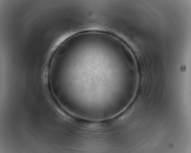 X0000102281367200807251349