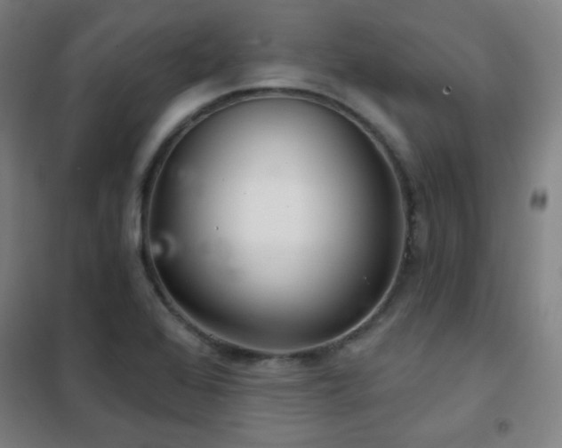 X0000102281368200807251349