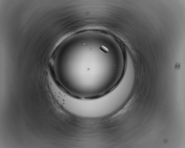 X0000102281369200807251349