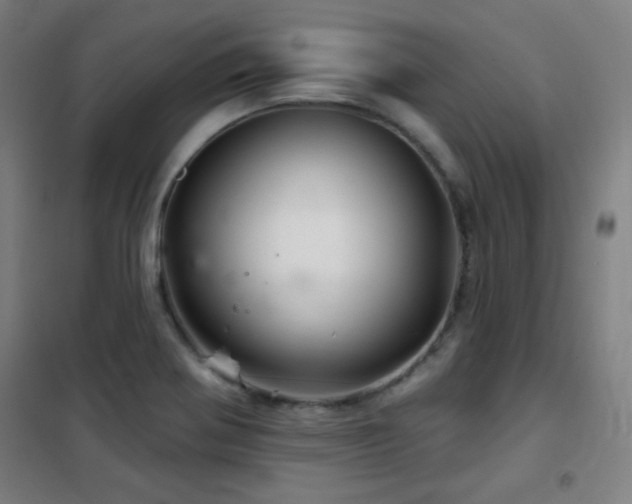 X0000102281370200807251349