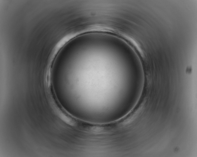 X0000102281371200807251349