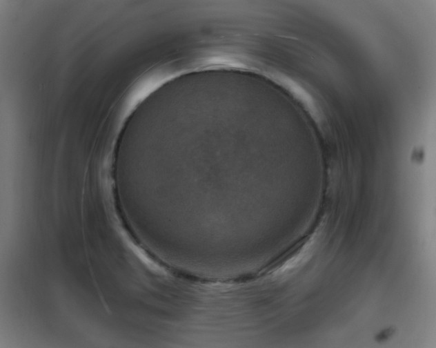 X0000102281373200807251349