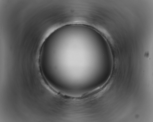 X0000102281374200807251349