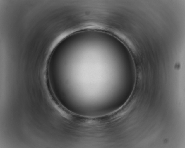 X0000102281375200807251349
