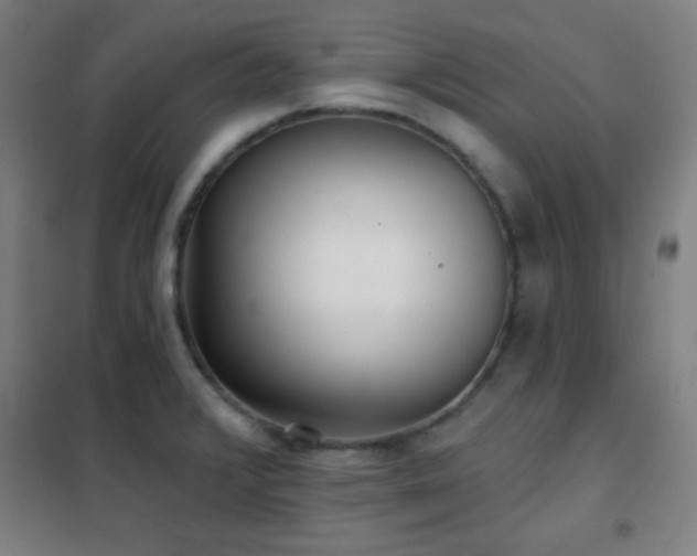 X0000102281376200807251349