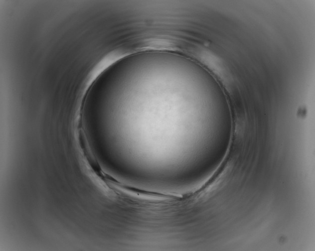 X0000102281378200807251349