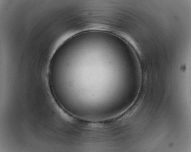 X0000102281379200807251349
