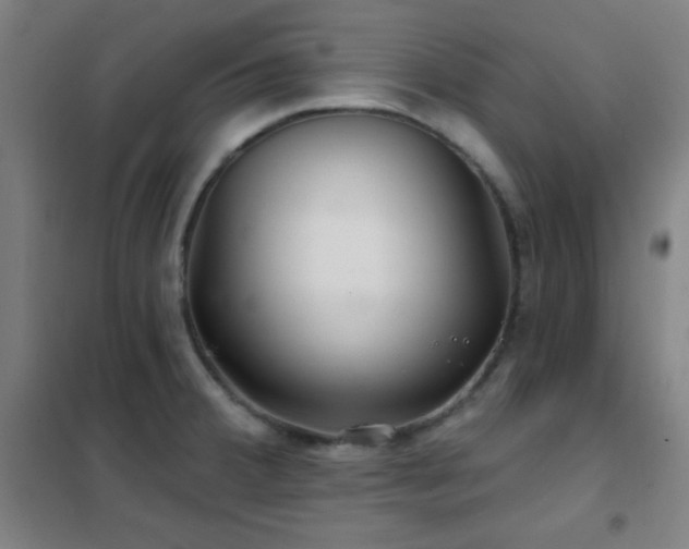 X0000102281380200807251349