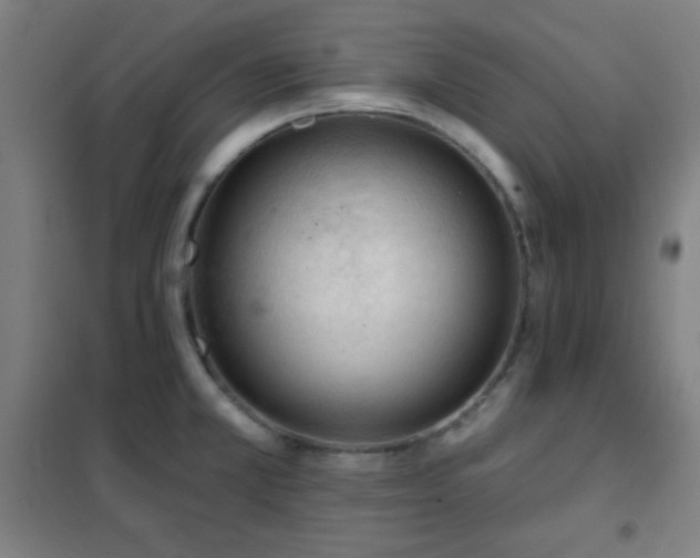 X0000102281381200807251349