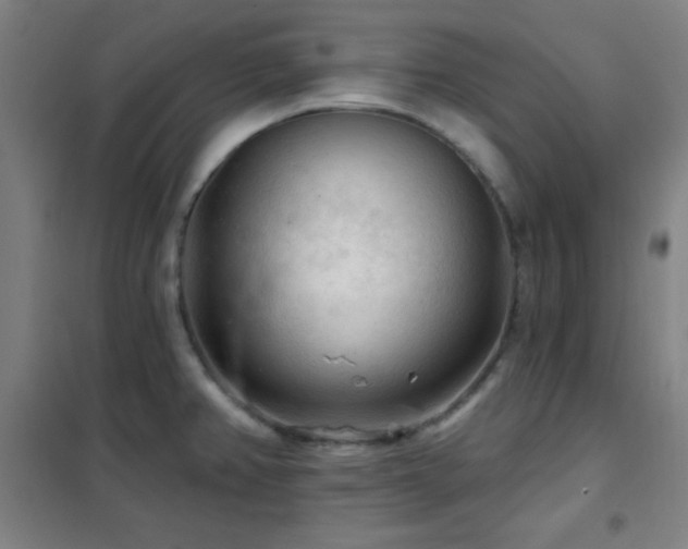 X0000102281382200807251349