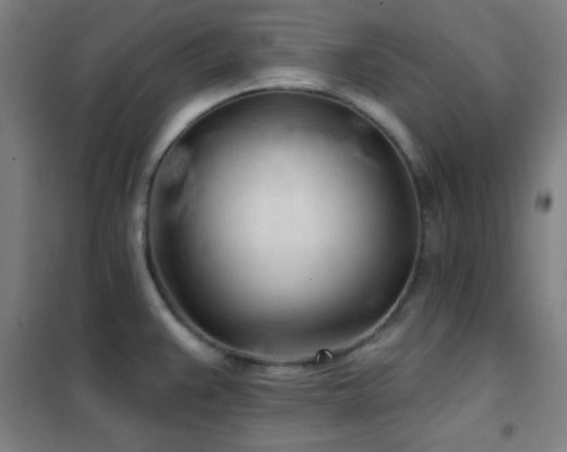 X0000102281383200807251349