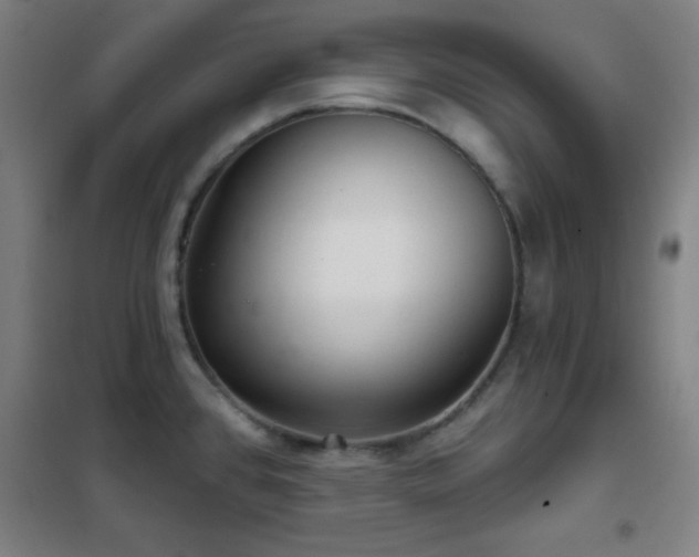 X0000102281384200807251349