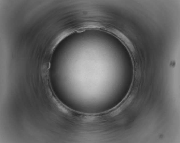 X0000102281385200807251349