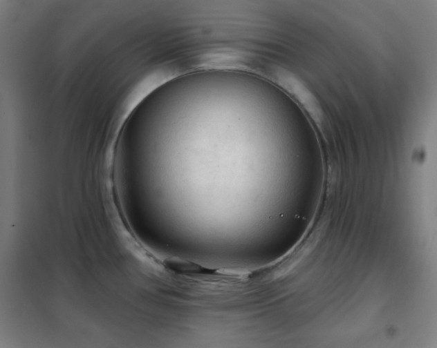 X0000102281386200807251349