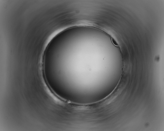 X0000102281387200807251349