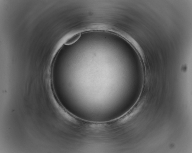 X0000102281389200807251349