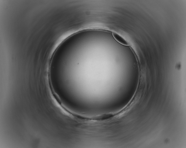 X0000102281390200807251349