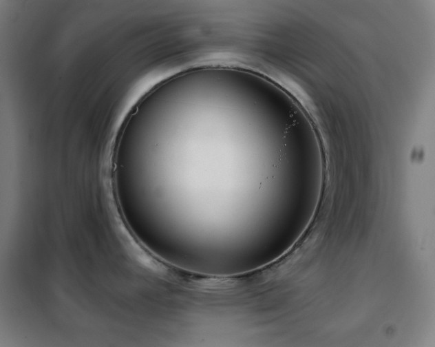 X0000102281392200807251349