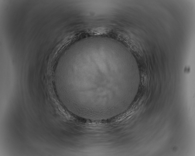 X0000102281393200807251348