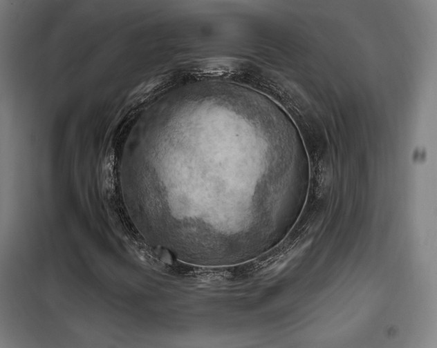 X0000102281394200807251348